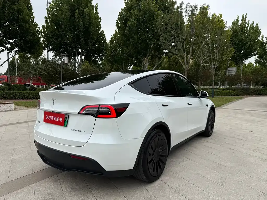 Tesla Model Y — фото 3