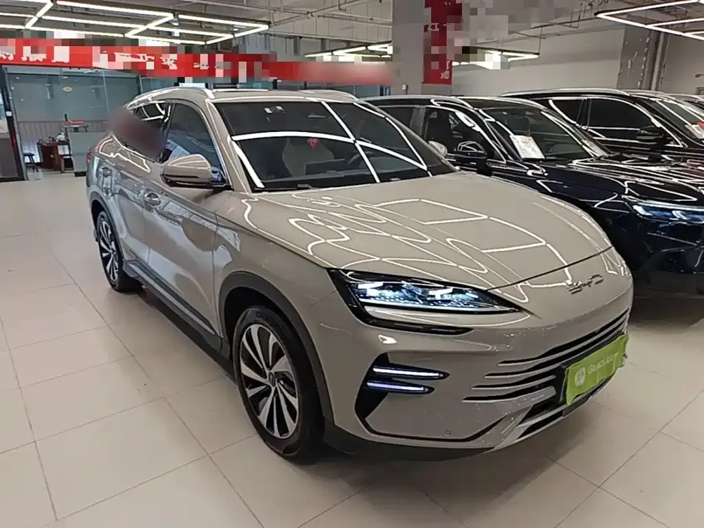 BYD PLUS New Energy — фото 1