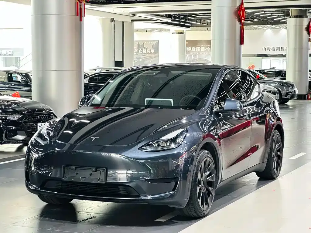 Tesla Model Y — фото 1