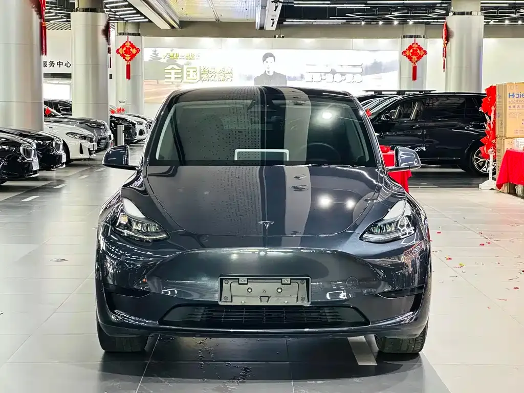 Tesla Model Y — фото 3
