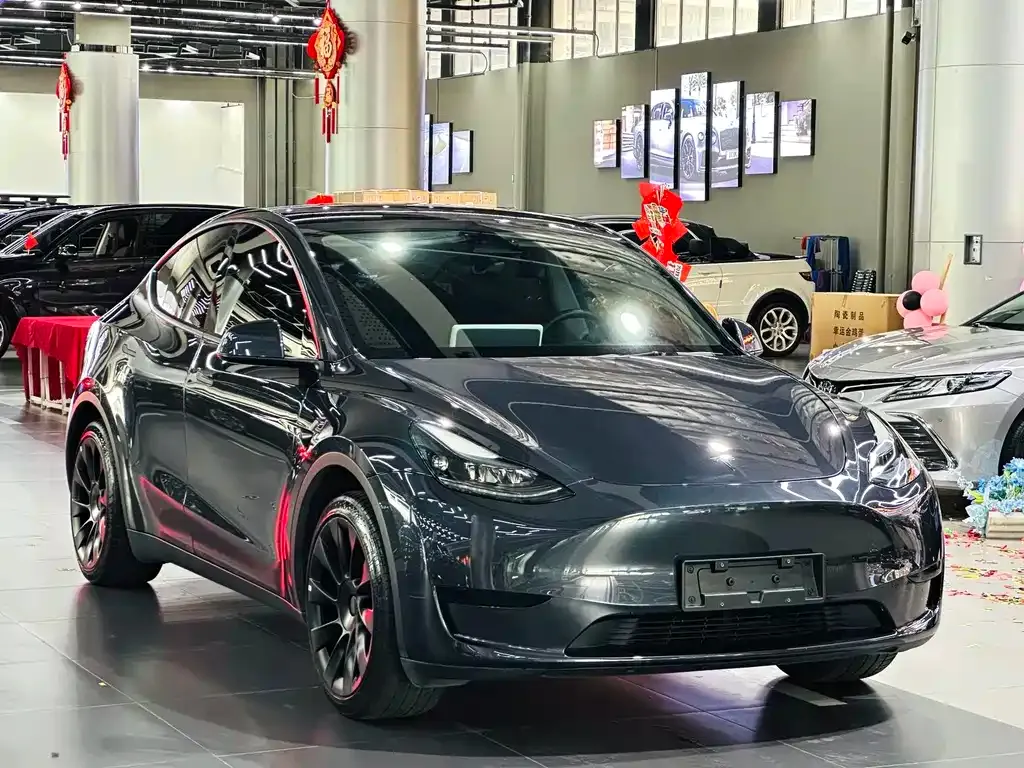 Tesla Model Y — фото 9