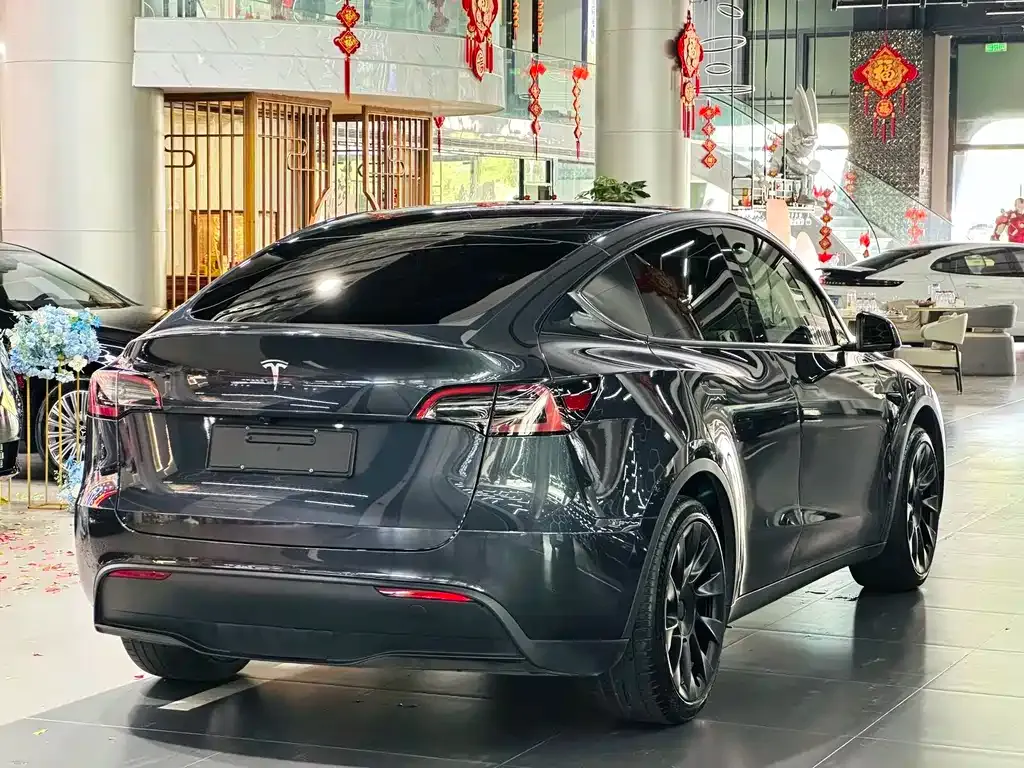Tesla Model Y — фото 6
