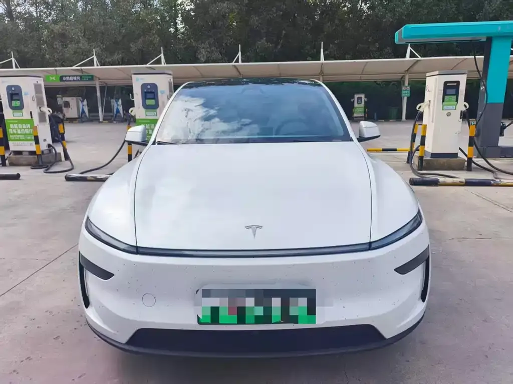 Tesla Model Y — фото 10