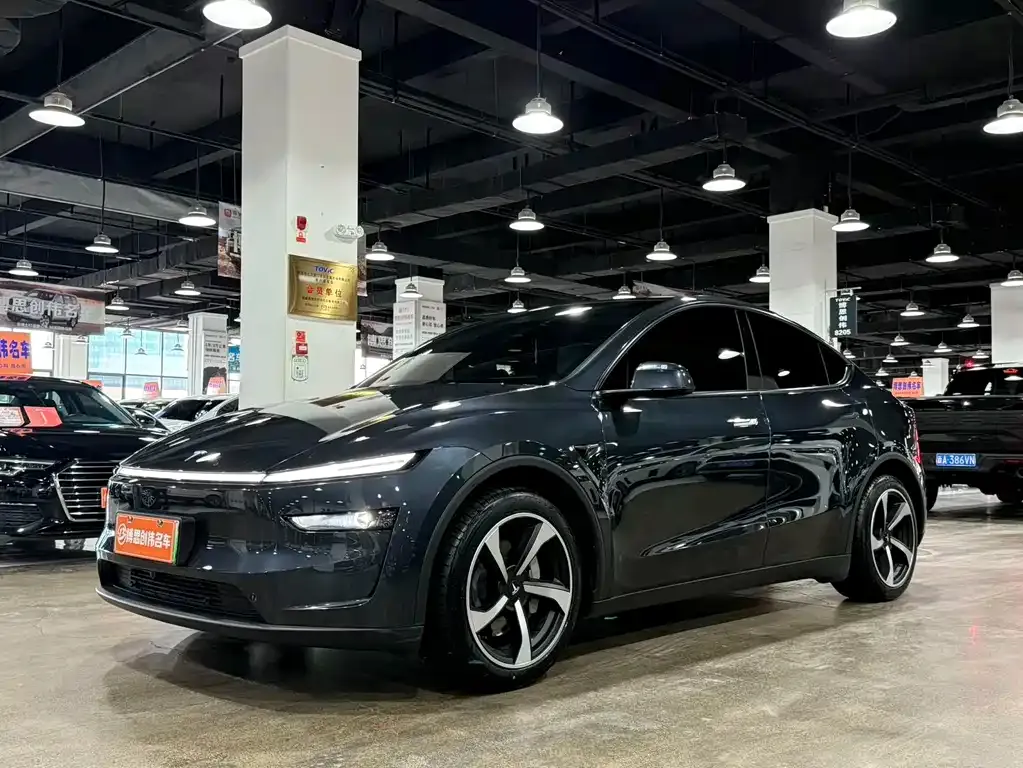 Tesla Model Y — фото 1