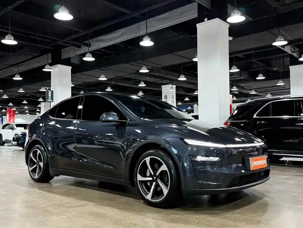 Tesla Model Y — фото 9