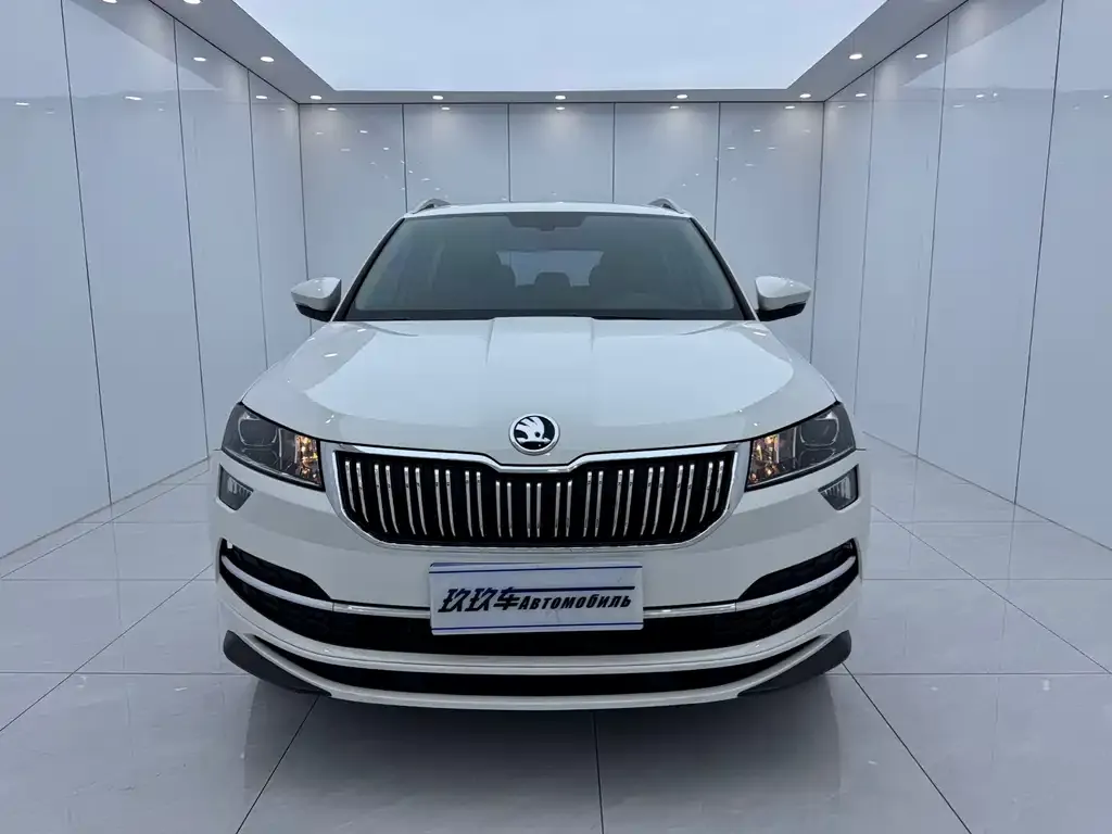 Skoda Karoq — фото 8