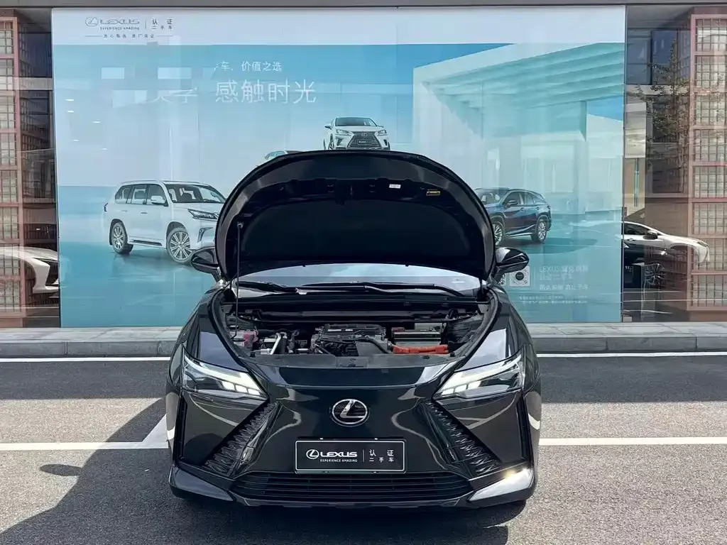Lexus RZ — фото 6