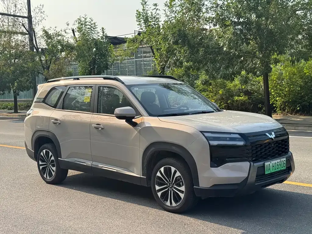 Wuling Xingguang 560 New Energy — фото 9