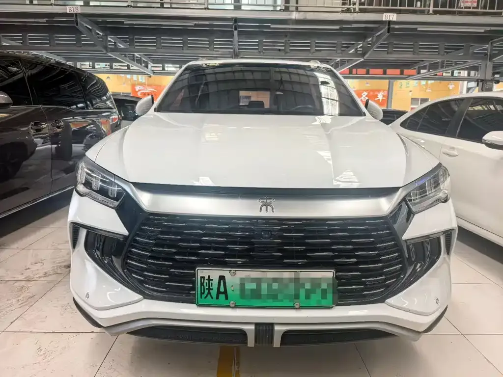 BYD Pro New Energy — фото 4