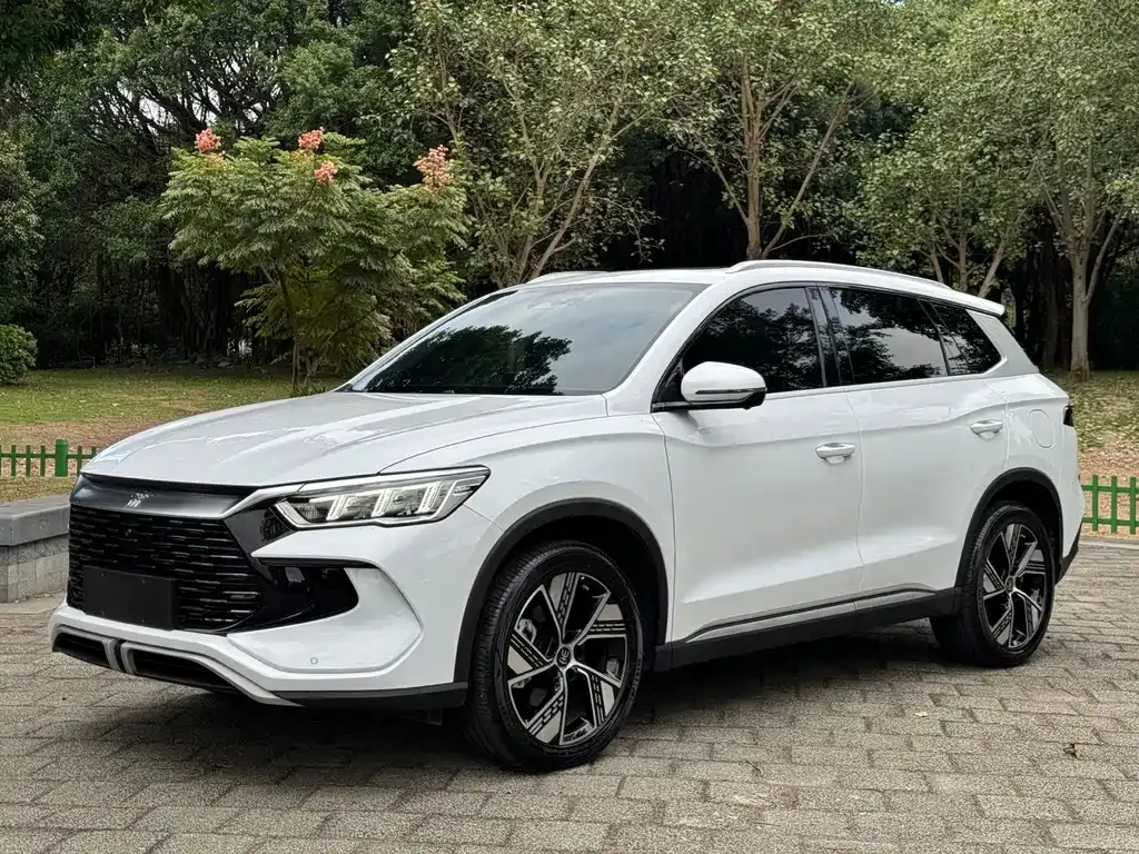 BYD Pro New Energy — фото 1