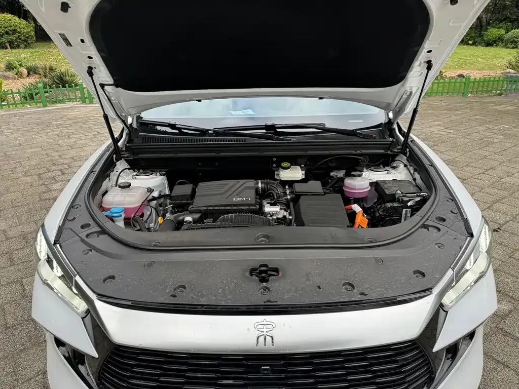 BYD Pro New Energy — фото 3
