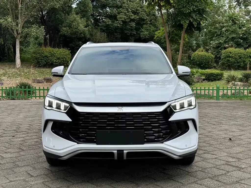 BYD Pro New Energy — фото 5