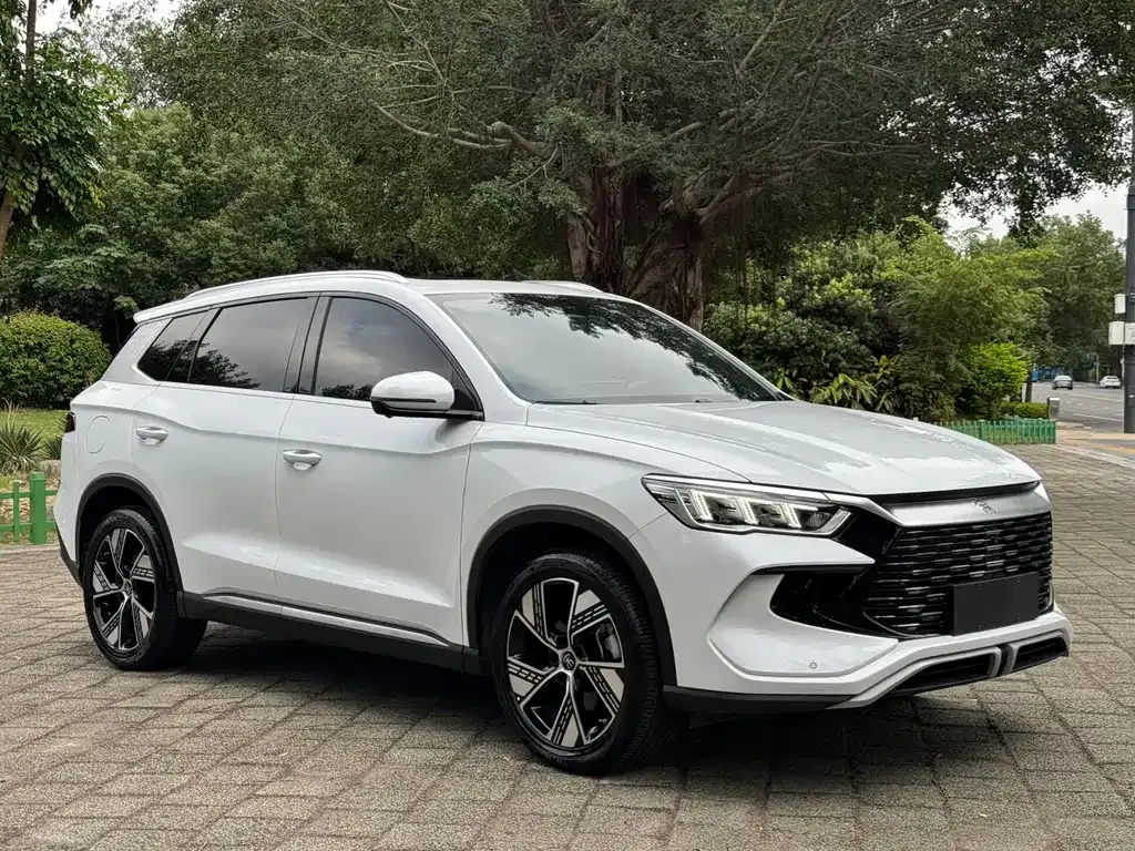 BYD Pro New Energy — фото 4