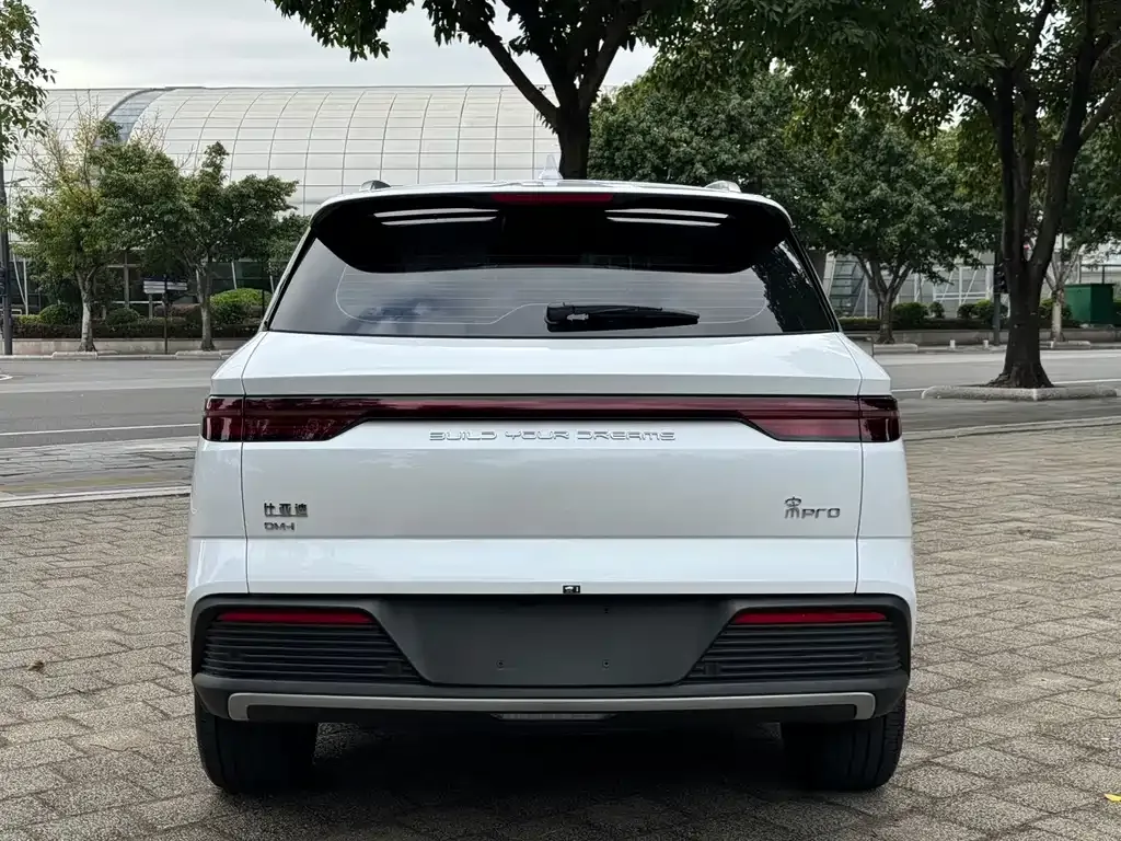 BYD Pro New Energy — фото 2