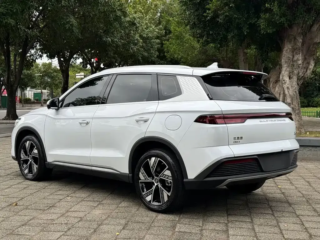 BYD Pro New Energy — фото 10
