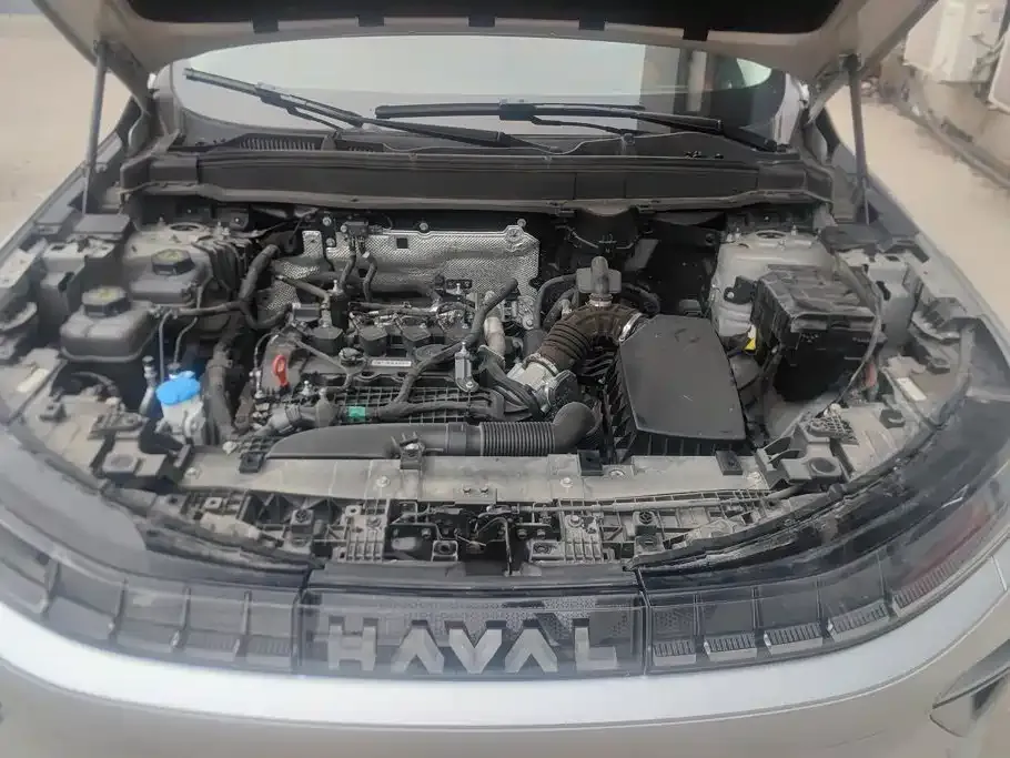 Haval Xiaolong MAX — фото 10