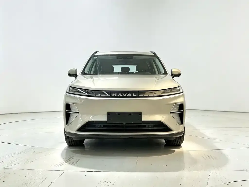 Haval Xiaolong MAX — фото 6