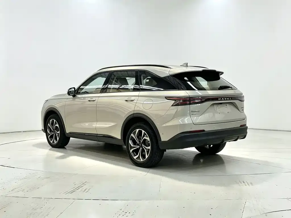 Haval Xiaolong MAX — фото 8