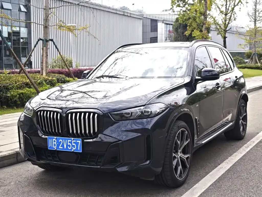 BMW X5 — фото 1