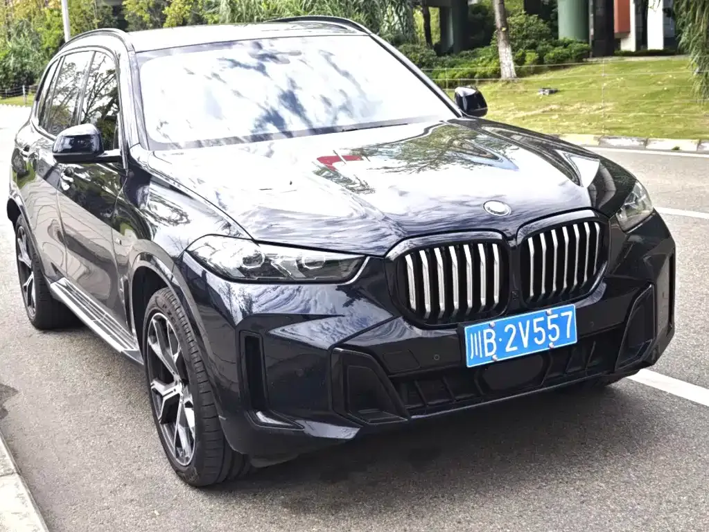BMW X5 — фото 3