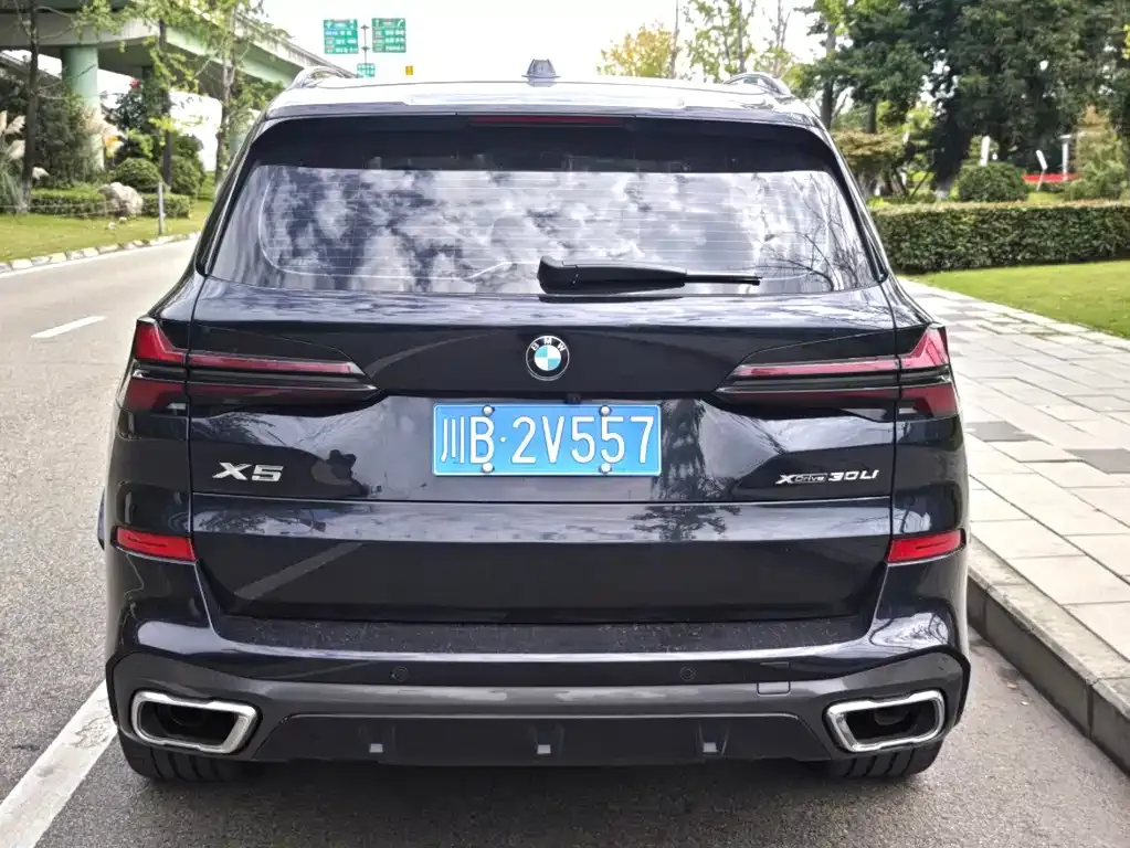 BMW X5 — фото 2