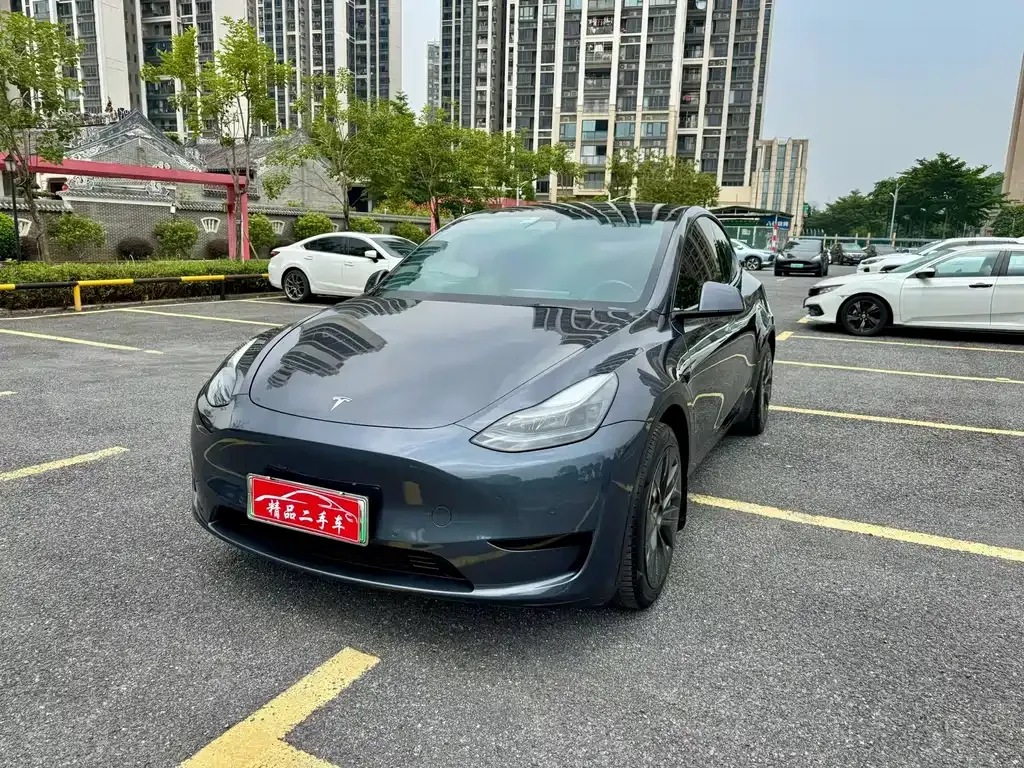Tesla Model Y — фото 1