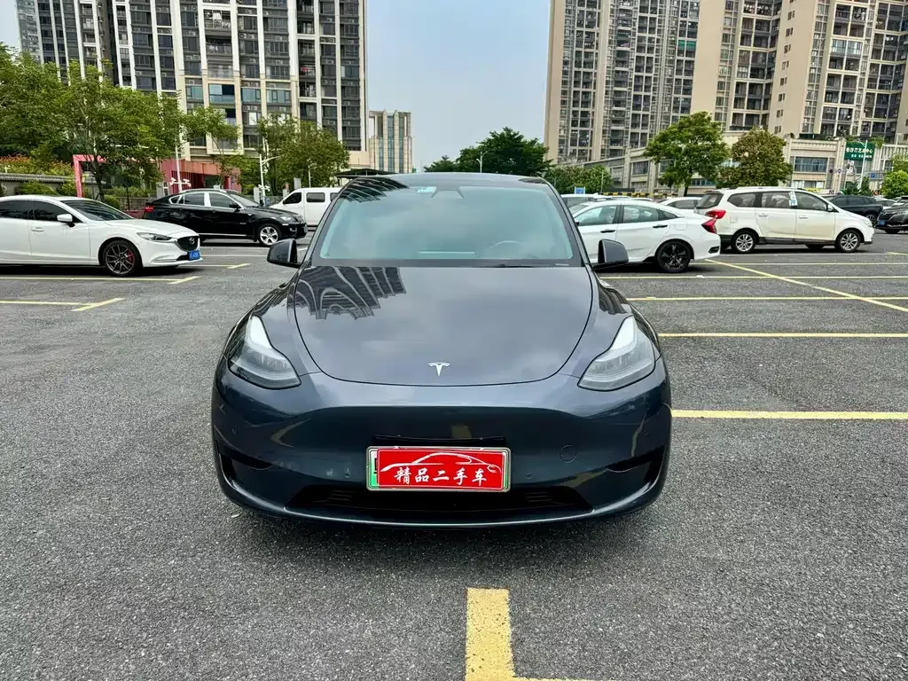 Tesla Model Y — фото 9