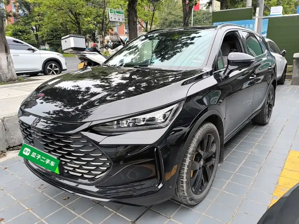 BYD Tang New Energy — фото 3