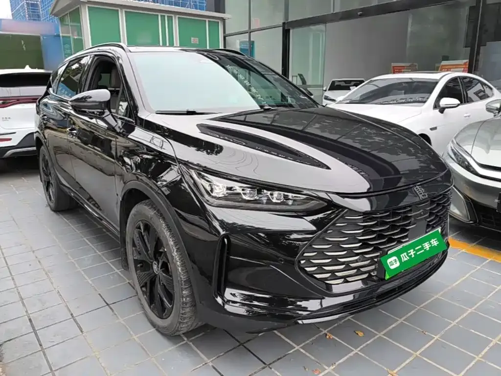 BYD Tang New Energy — фото 4