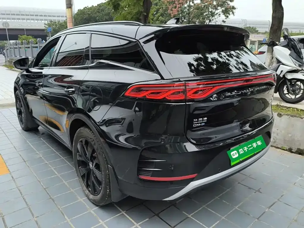 BYD Tang New Energy — фото 8