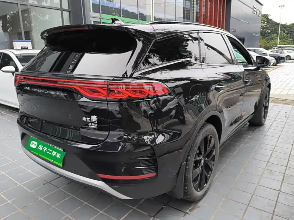 BYD Tang New Energy — фото 5