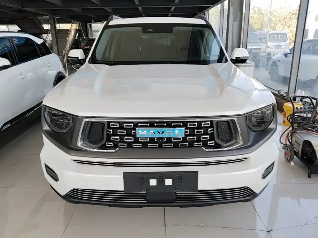 Haval Big Dog PLUS New Energy — фото 8