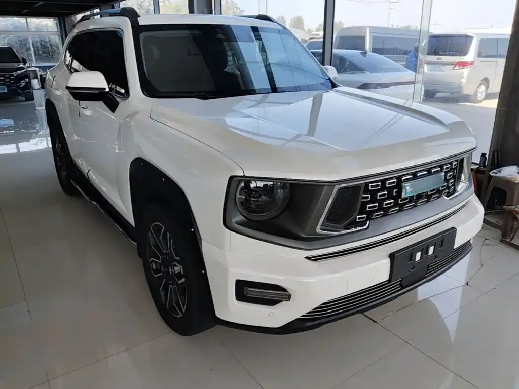 Haval Big Dog PLUS New Energy — фото 9