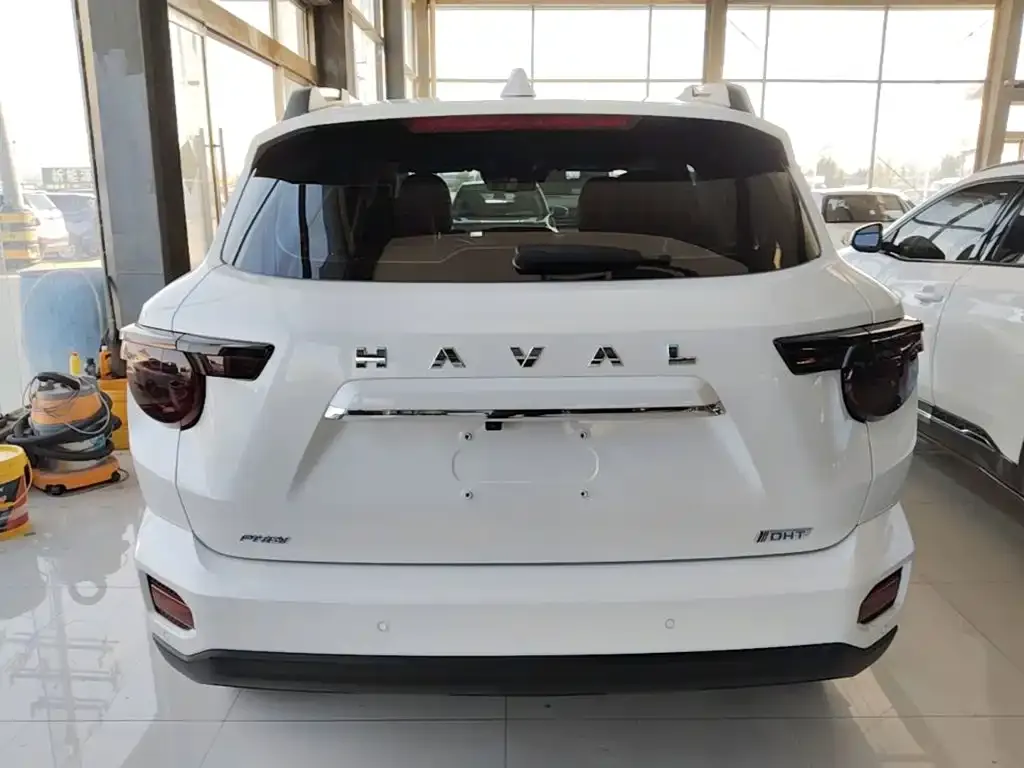 Haval Big Dog PLUS New Energy — фото 4