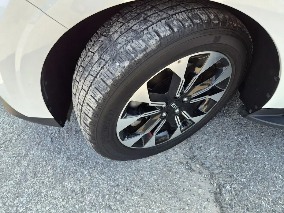 Kia Carnival — фото 10