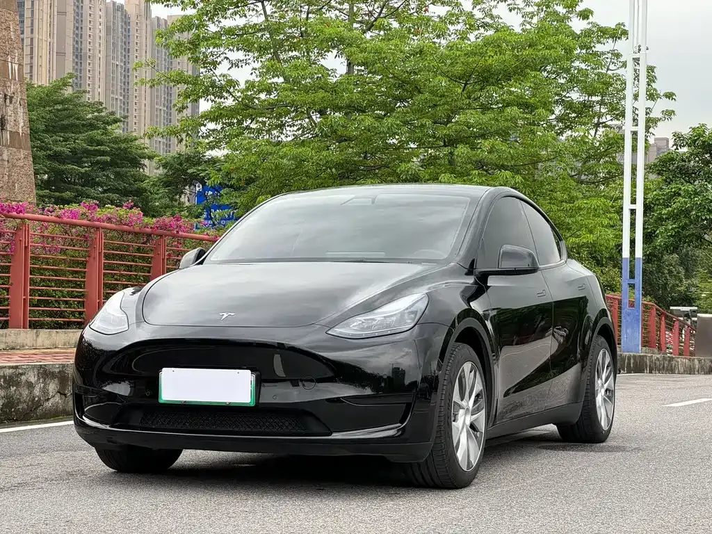 Tesla Model Y — фото 1