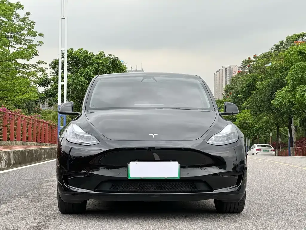 Tesla Model Y — фото 8