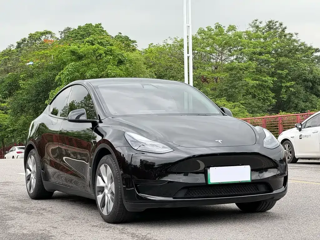 Tesla Model Y — фото 9