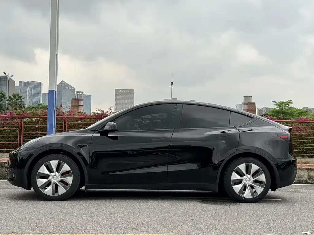 Tesla Model Y — фото 2