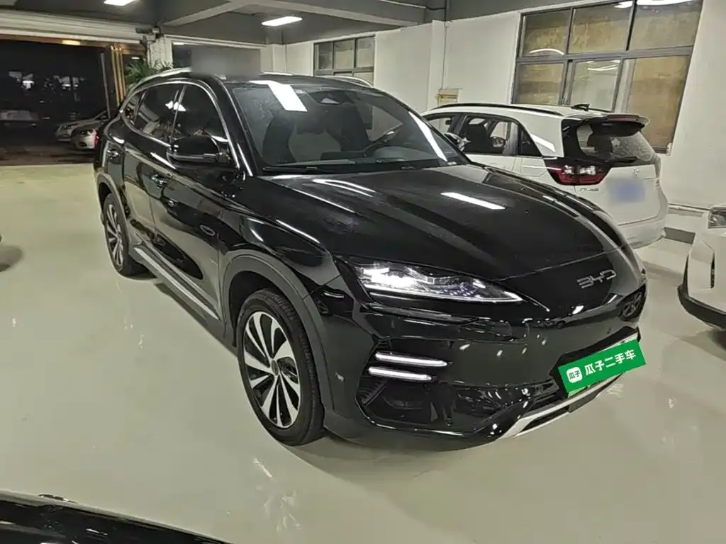 BYD PLUS New Energy — фото 7