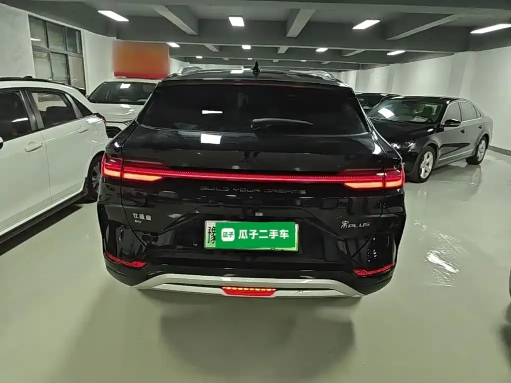 BYD PLUS New Energy — фото 1