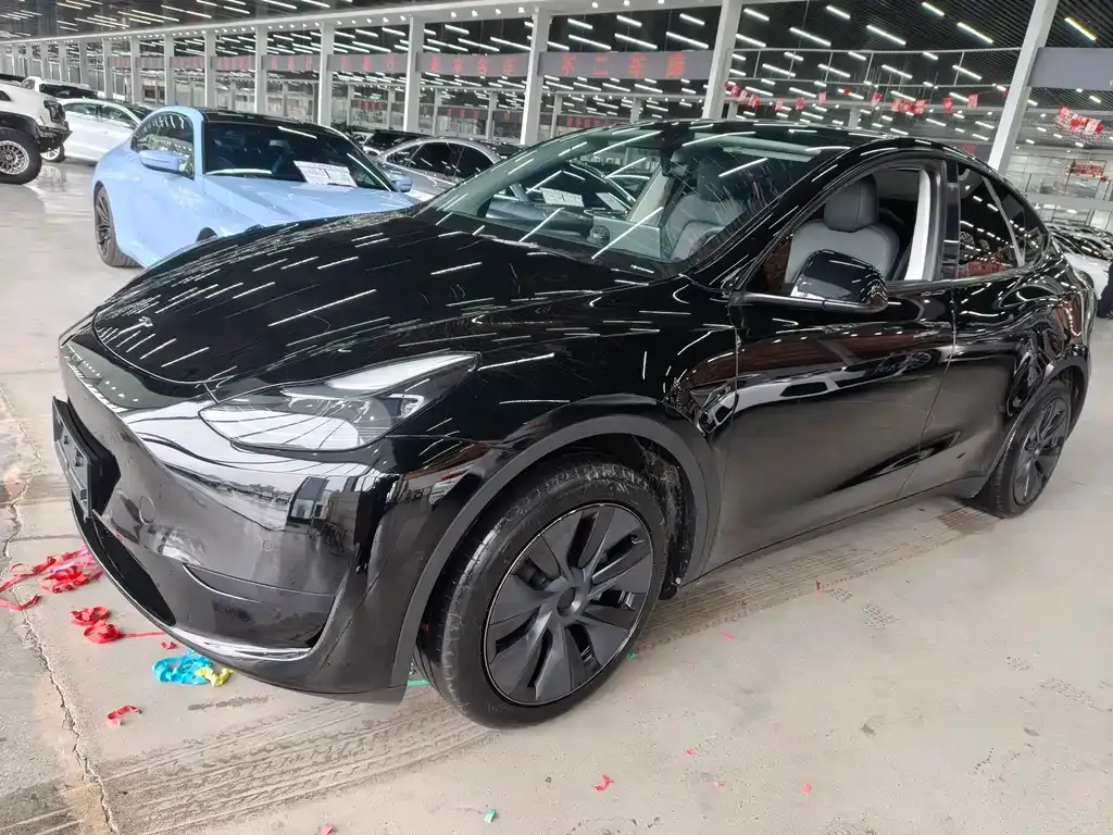 Tesla Model Y — фото 2