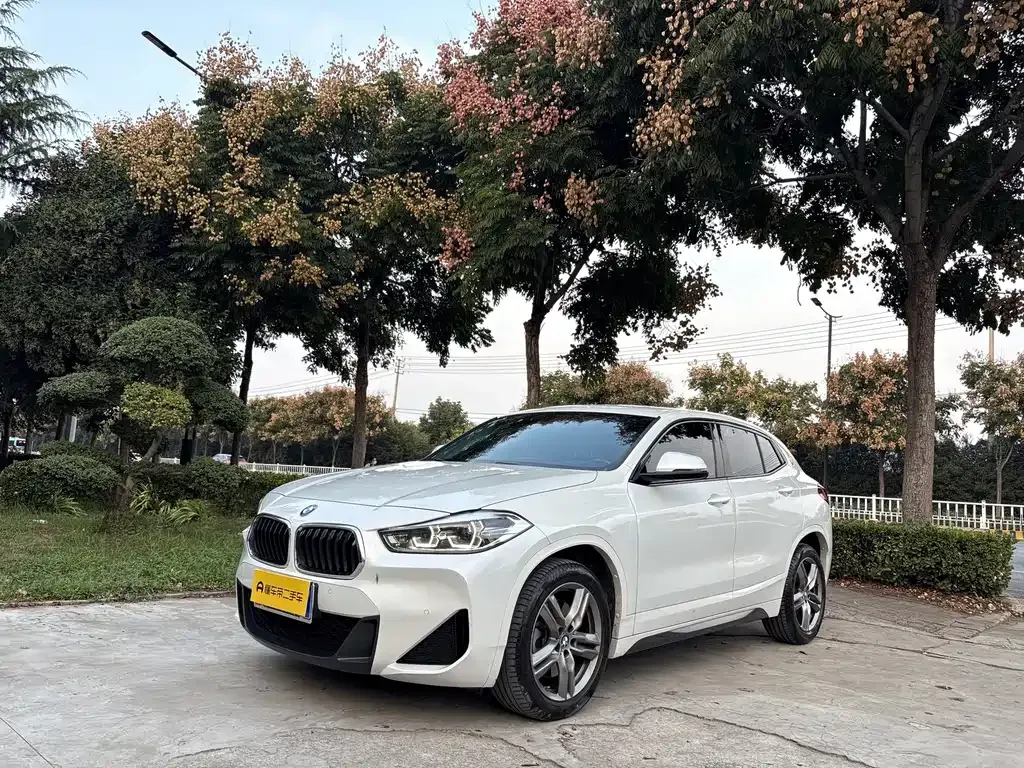 BMW X2 — фото 1