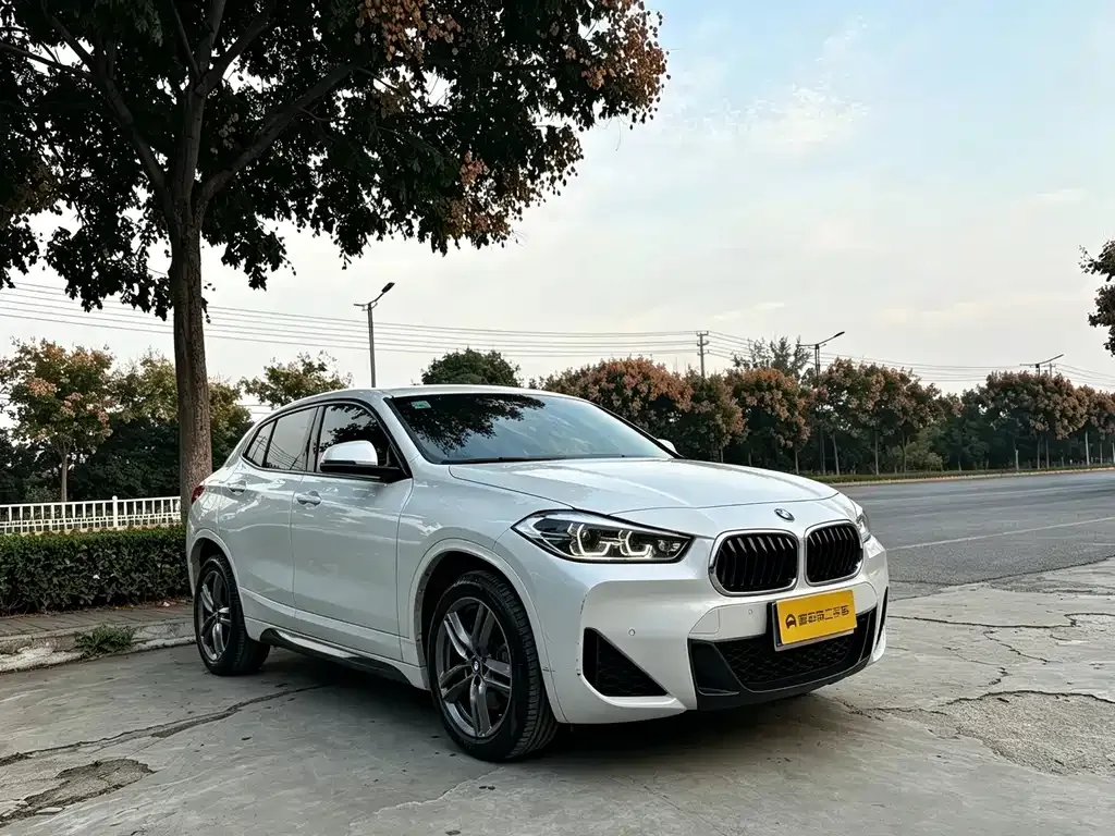 BMW X2 — фото 5