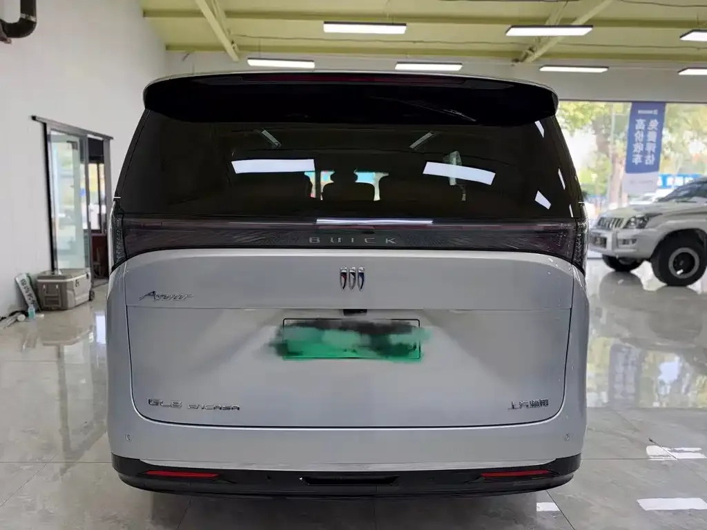 Buick Electra Encasa — фото 7
