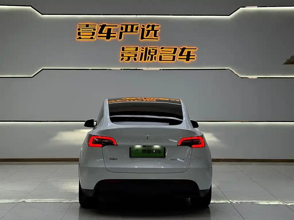 Tesla Model Y — фото 4