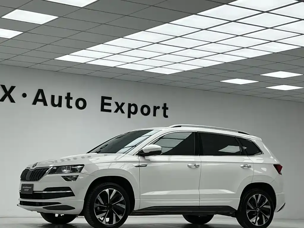 Skoda Karoq — фото 7