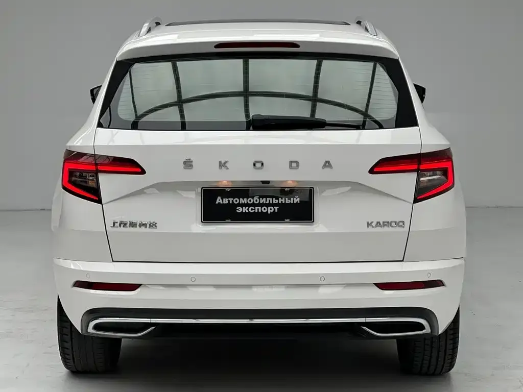Skoda Karoq — фото 6