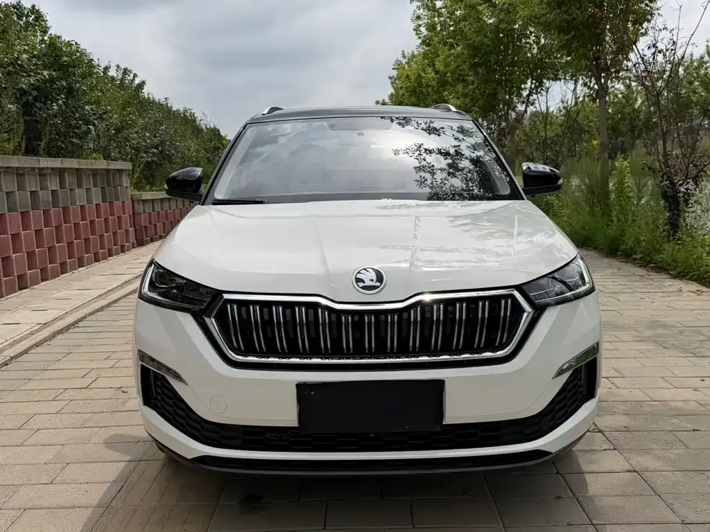 Skoda Kamiq — фото 9