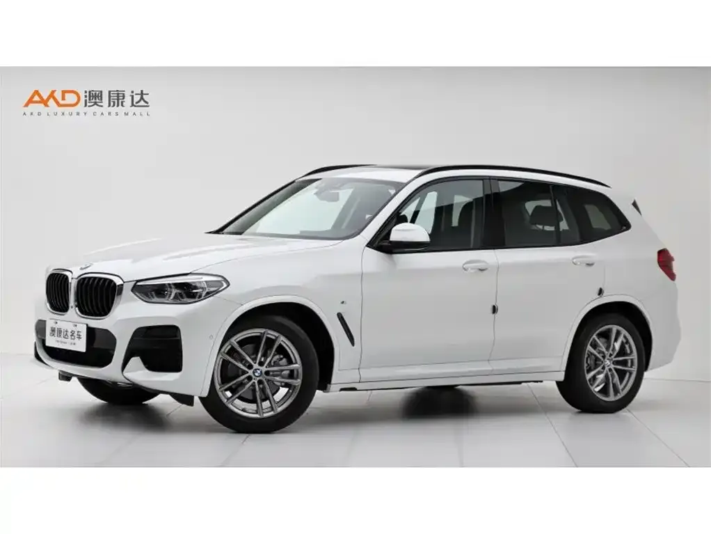 BMW X3 — фото 1